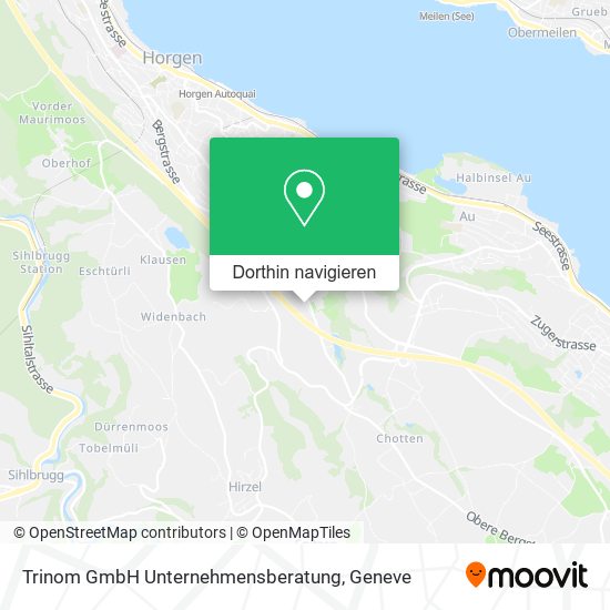 Trinom GmbH Unternehmensberatung Karte