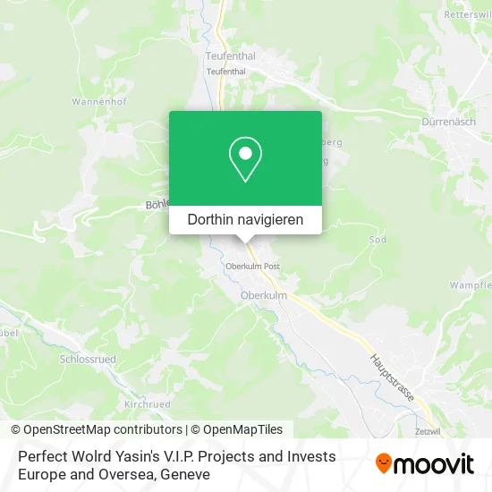 Perfect Wolrd Yasin's V.I.P. Projects and Invests Europe and Oversea Karte
