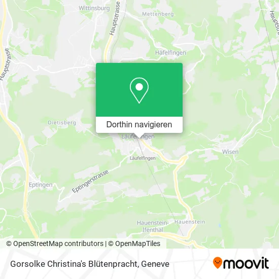 Gorsolke Christina's Blütenpracht Karte