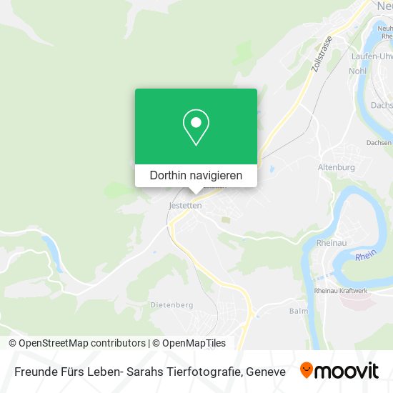 Freunde Fürs Leben- Sarahs Tierfotografie Karte