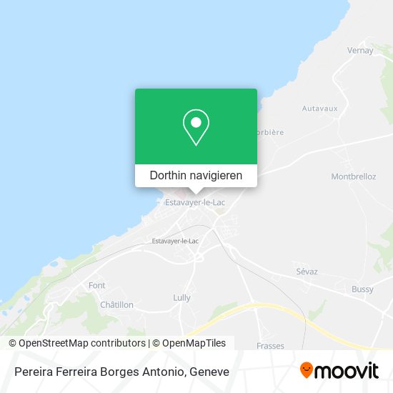 Pereira Ferreira Borges Antonio Karte