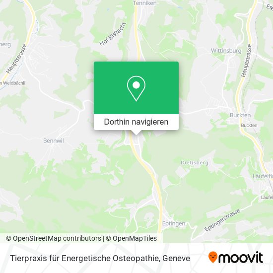 Tierpraxis für Energetische Osteopathie Karte