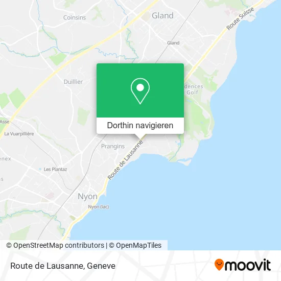 Route de Lausanne Karte
