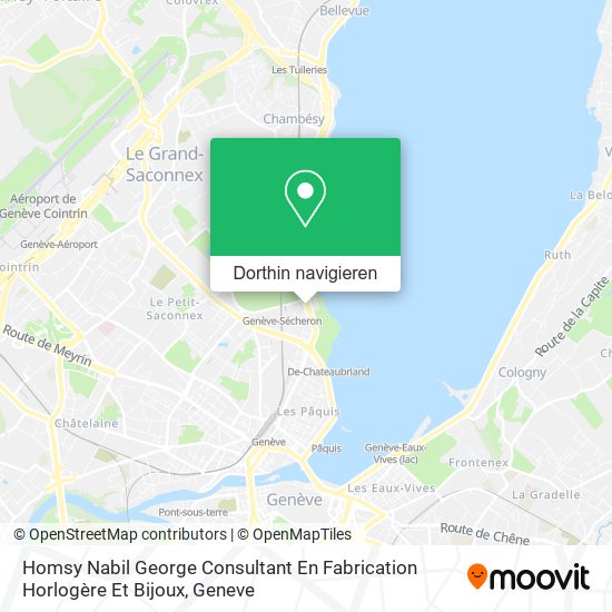 Homsy Nabil George Consultant En Fabrication Horlogère Et Bijoux Karte