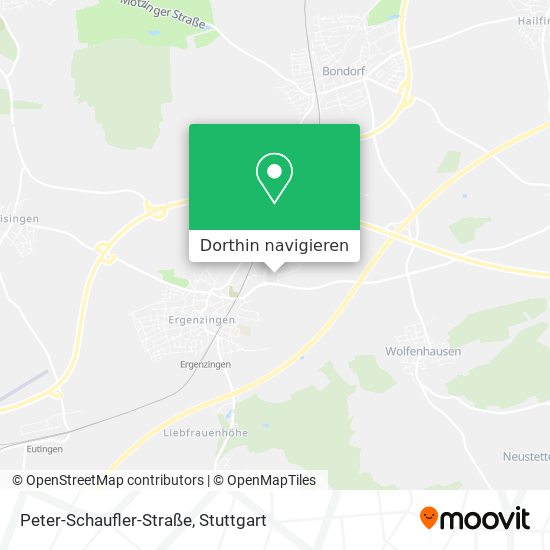 Peter-Schaufler-Straße Karte