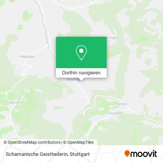 Schamanische Geistheilerin Karte