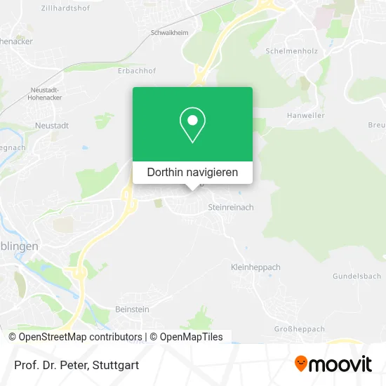 Prof. Dr. Peter Karte