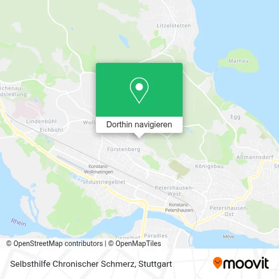 Selbsthilfe Chronischer Schmerz Karte