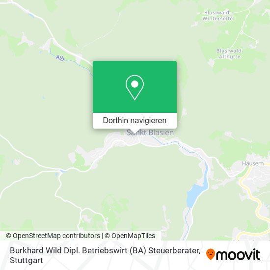 Burkhard Wild Dipl. Betriebswirt (BA) Steuerberater Karte