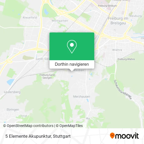 5 Elemente Akupunktur Karte