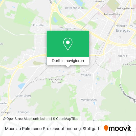 Maurizio Palmisano Prozessoptimierung Karte