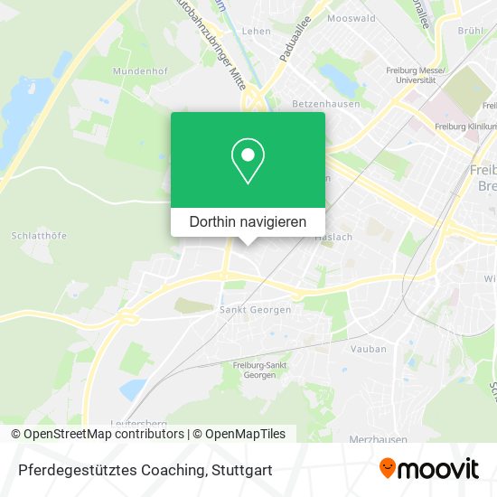 Pferdegestütztes Coaching Karte