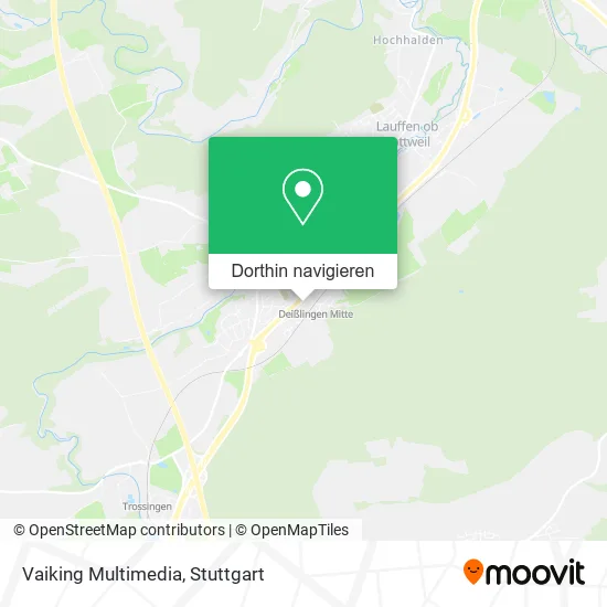 Vaiking Multimedia Karte