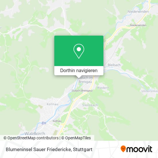 Blumeninsel Sauer Friedericke Karte