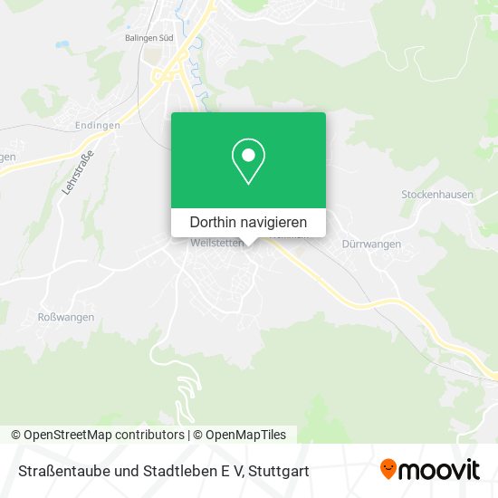 Straßentaube und Stadtleben E V Karte