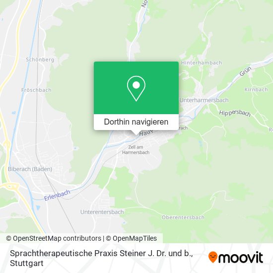 Sprachtherapeutische Praxis Steiner J. Dr. und b. Karte