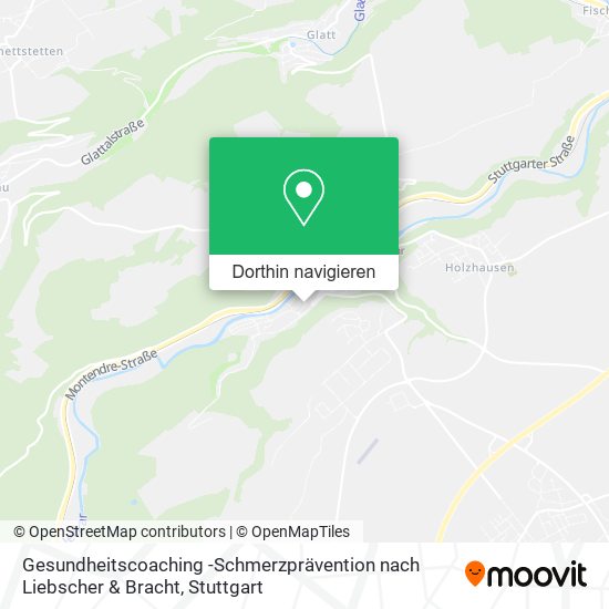 Gesundheitscoaching -Schmerzprävention nach Liebscher & Bracht Karte