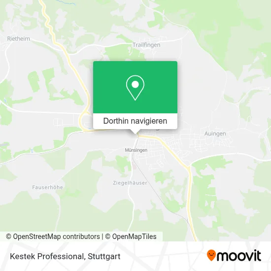 Kestek Professional Karte