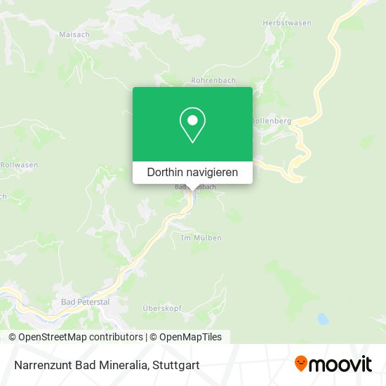 Narrenzunt Bad Mineralia Karte
