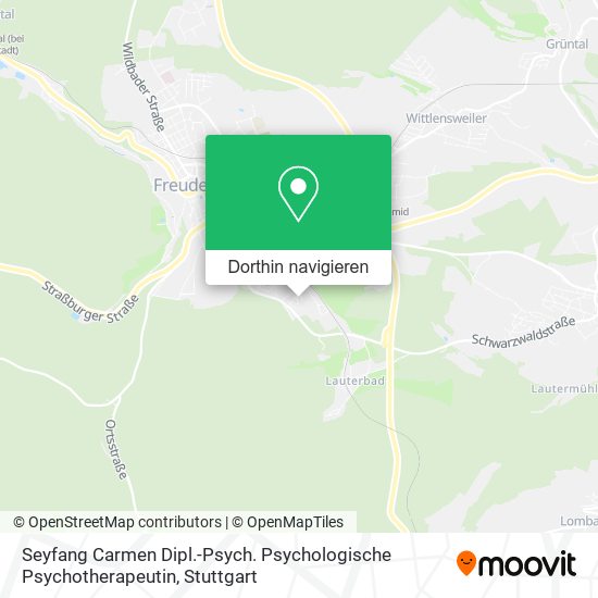 Seyfang Carmen Dipl.-Psych. Psychologische Psychotherapeutin Karte