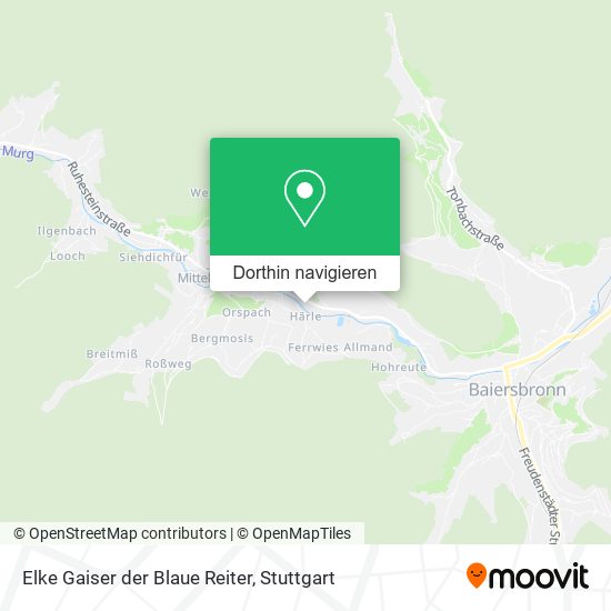 Elke Gaiser der Blaue Reiter Karte