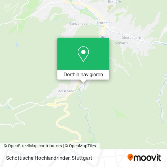 Schottische Hochlandrinder Karte