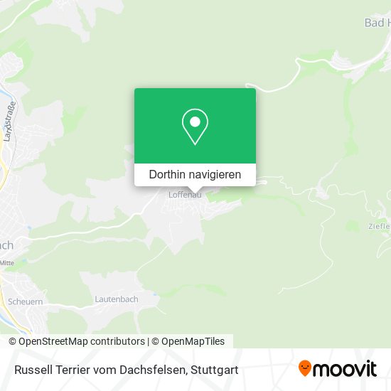 Russell Terrier vom Dachsfelsen Karte