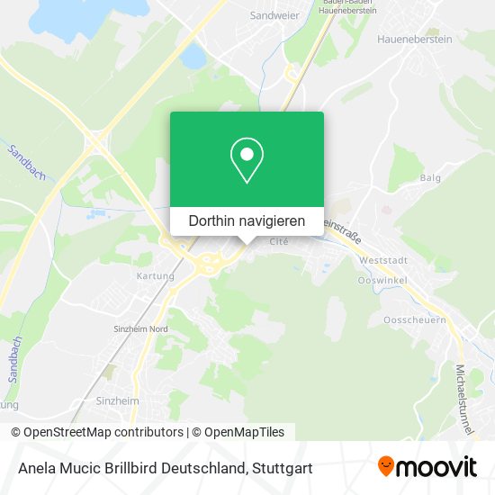 Anela Mucic Brillbird Deutschland Karte