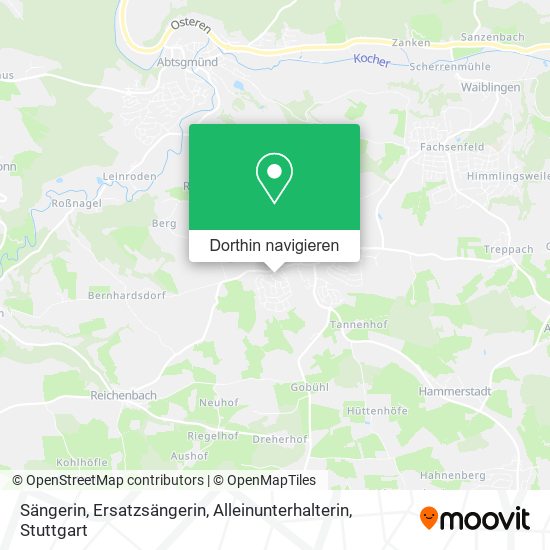 Sängerin, Ersatzsängerin, Alleinunterhalterin Karte