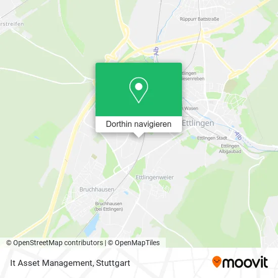 It Asset Management Karte