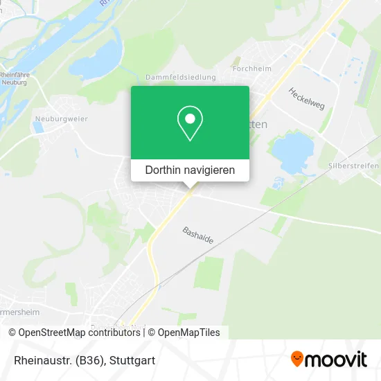 Rheinaustr. (B36) Karte