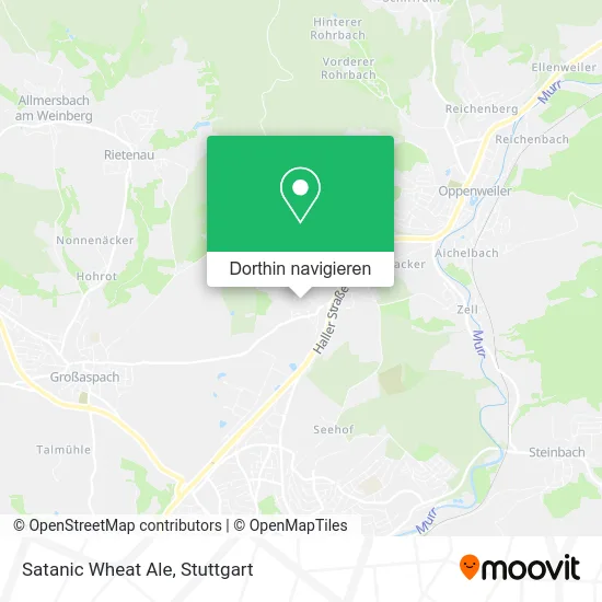 Satanic Wheat Ale Karte