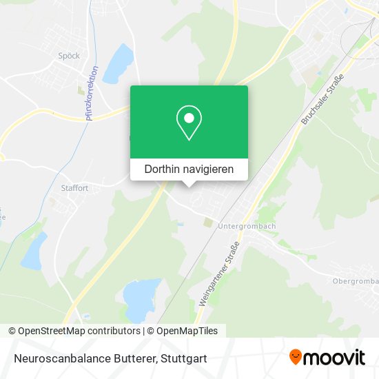 Neuroscanbalance Butterer Karte