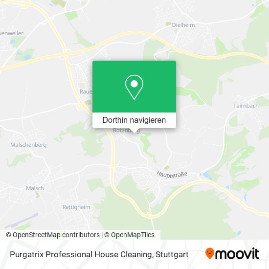 Purgatrix Professional House Cleaning Karte