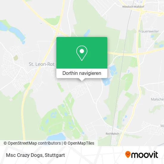 Msc Crazy Dogs Karte