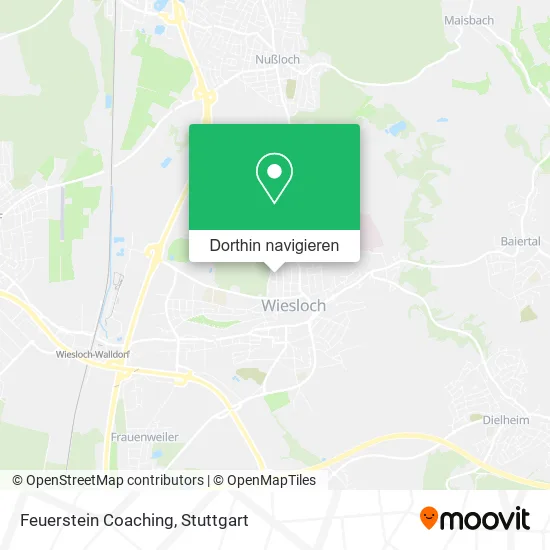 Feuerstein Coaching Karte