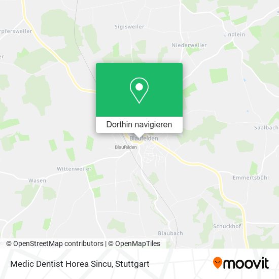 Medic Dentist Horea Sincu Karte