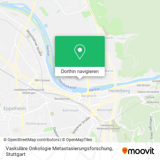 Vaskuläre Onkologie Metastasierungsforschung Karte