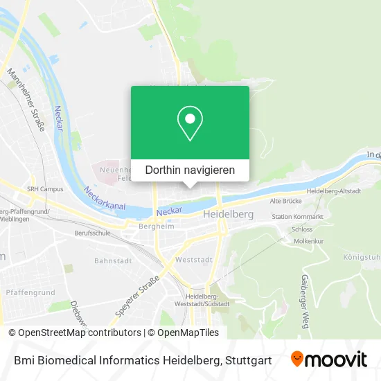 Bmi Biomedical Informatics Heidelberg Karte