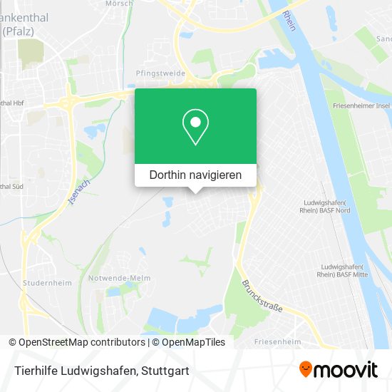 Tierhilfe Ludwigshafen Karte