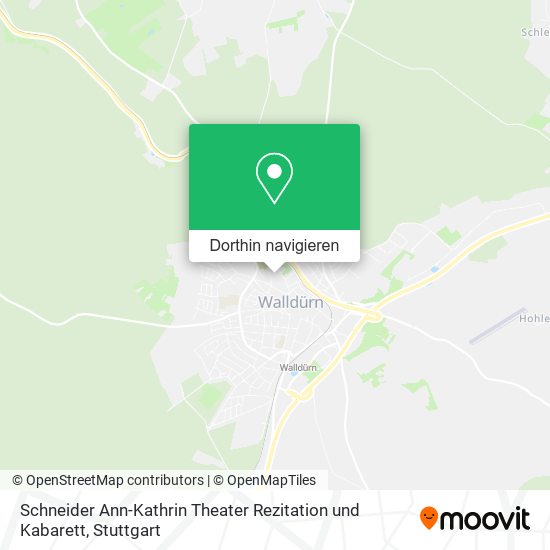 Schneider Ann-Kathrin Theater Rezitation und Kabarett Karte