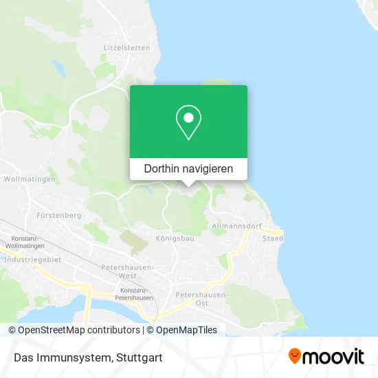 Das Immunsystem Karte