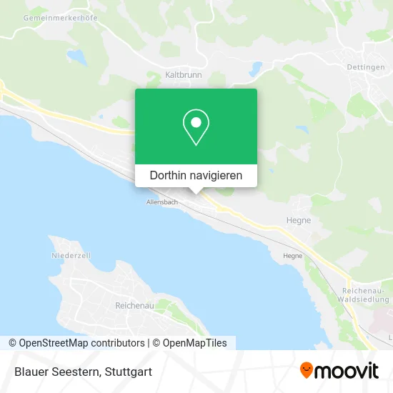 Blauer Seestern Karte