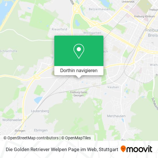 Die Golden Retriever Welpen Page im Web Karte