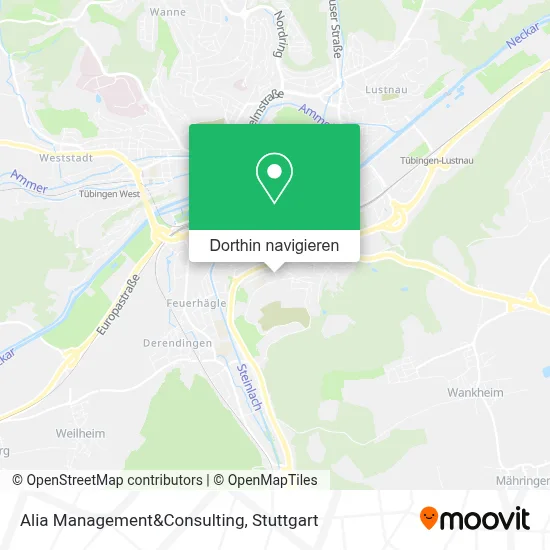 Alia Management&Consulting Karte