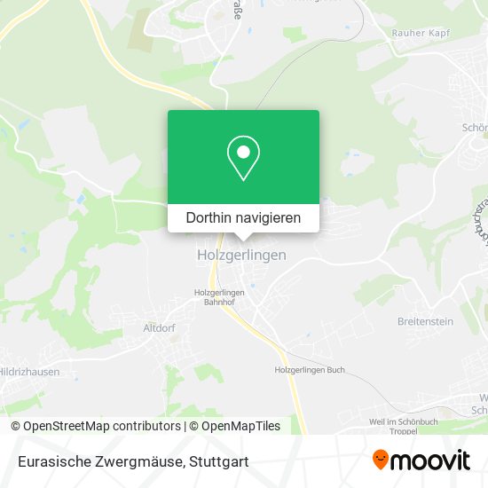 Eurasische Zwergmäuse Karte