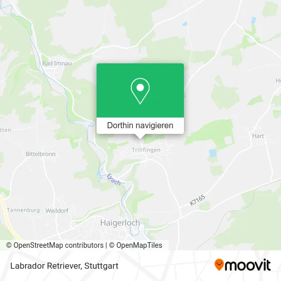 Labrador Retriever Karte