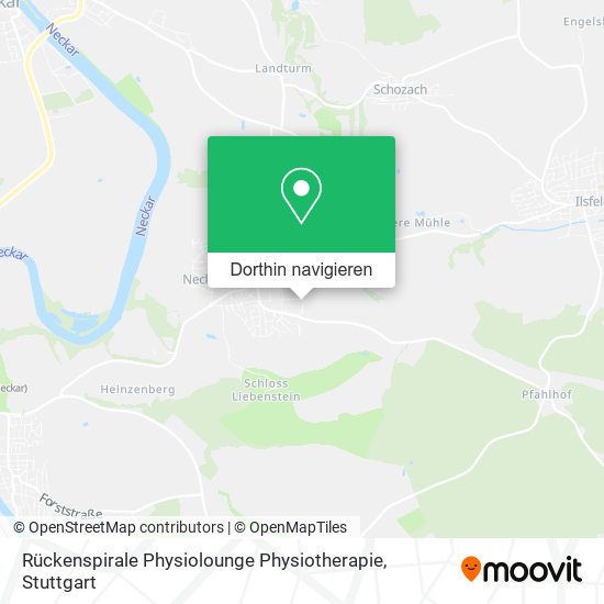 Rückenspirale Physiolounge Physiotherapie Karte