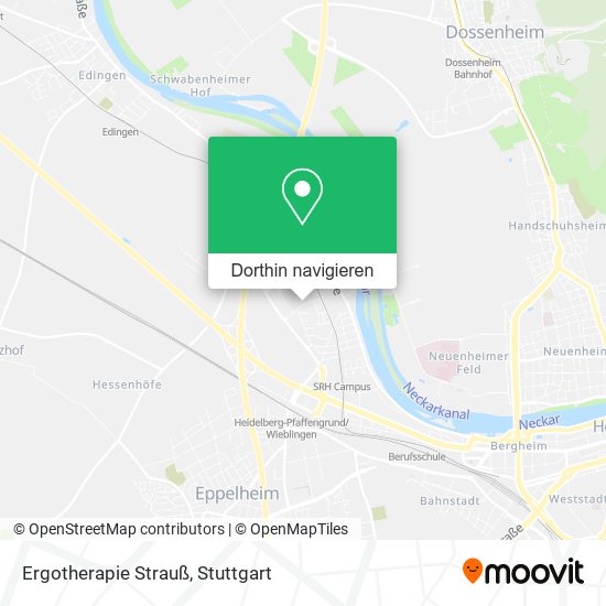 Ergotherapie Strauß Karte