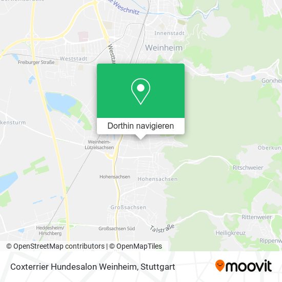 Coxterrier Hundesalon Weinheim Karte